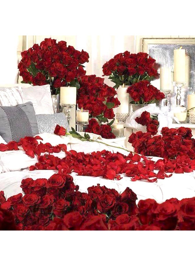 Dreamy 300 Red Roses And Candle Decor