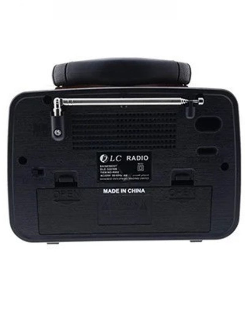 DENX/DX2427 Classic Portable Radio with Bluetooth Speaker: Dink's Brand