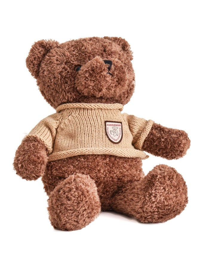 Teddy With Sweatshirt