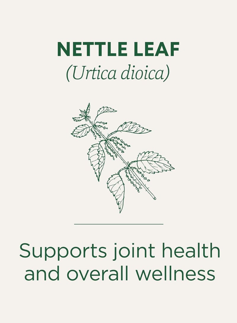 Pack Of 16 Organic Nettle Leaf Herbal Tea Bag 32g
