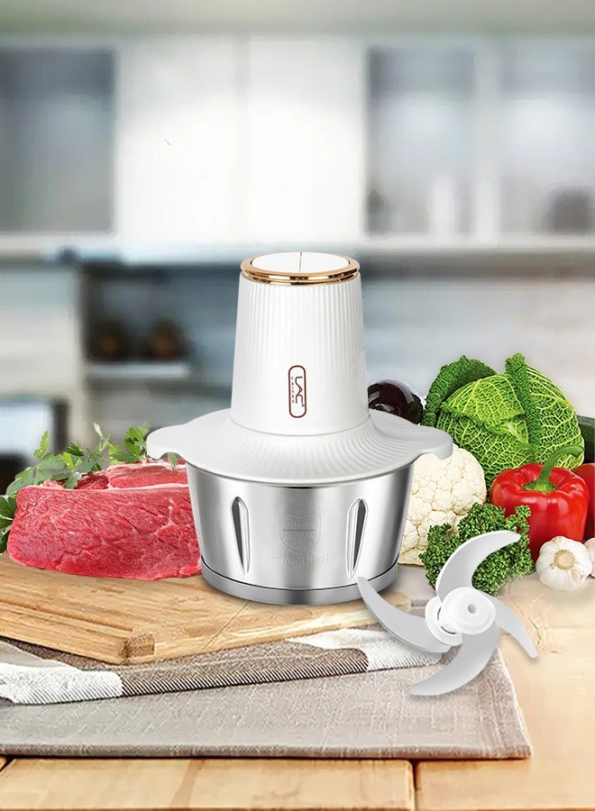 3L Large Capacity Electric Meat Grinder Stainless Steel Chopper  2 Speeds Meat Mincer Food Processor Elegant Slicer With Integrated 4-Sharp Blades And Child Safety Lock