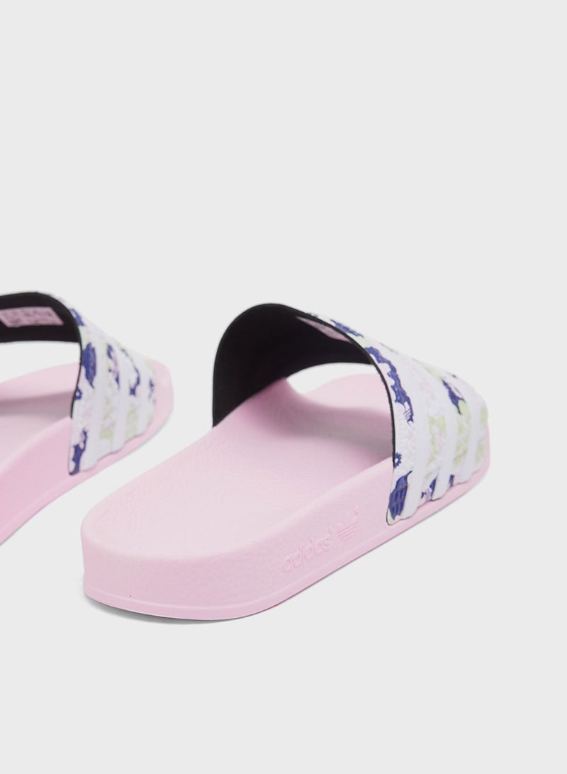 Adilette Slides