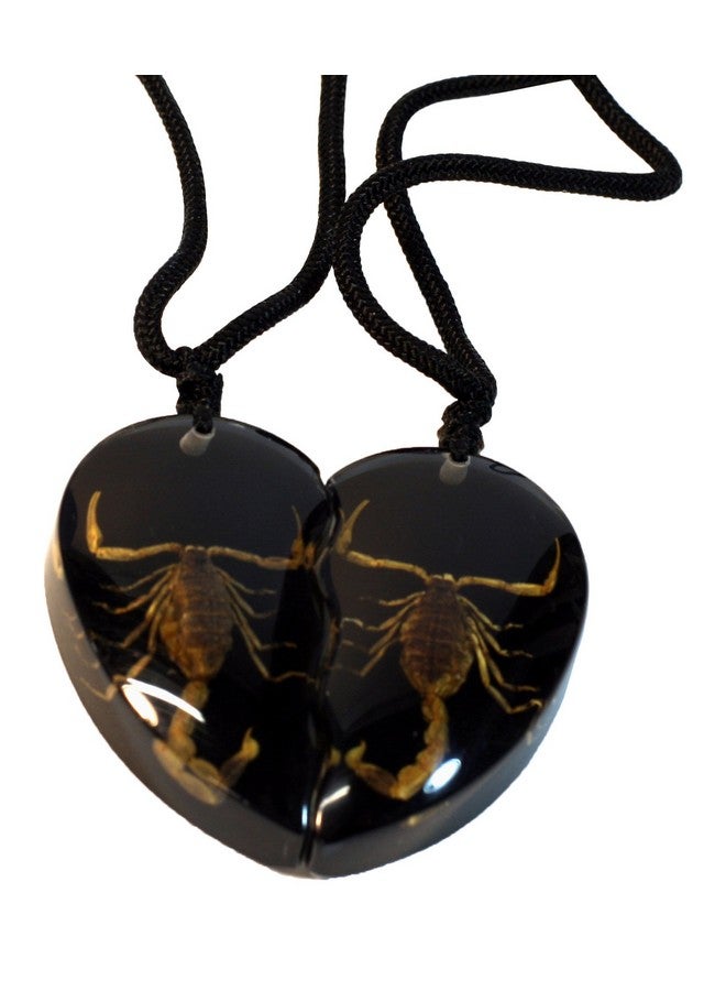 Sp2214 Necklace, Black/Gold