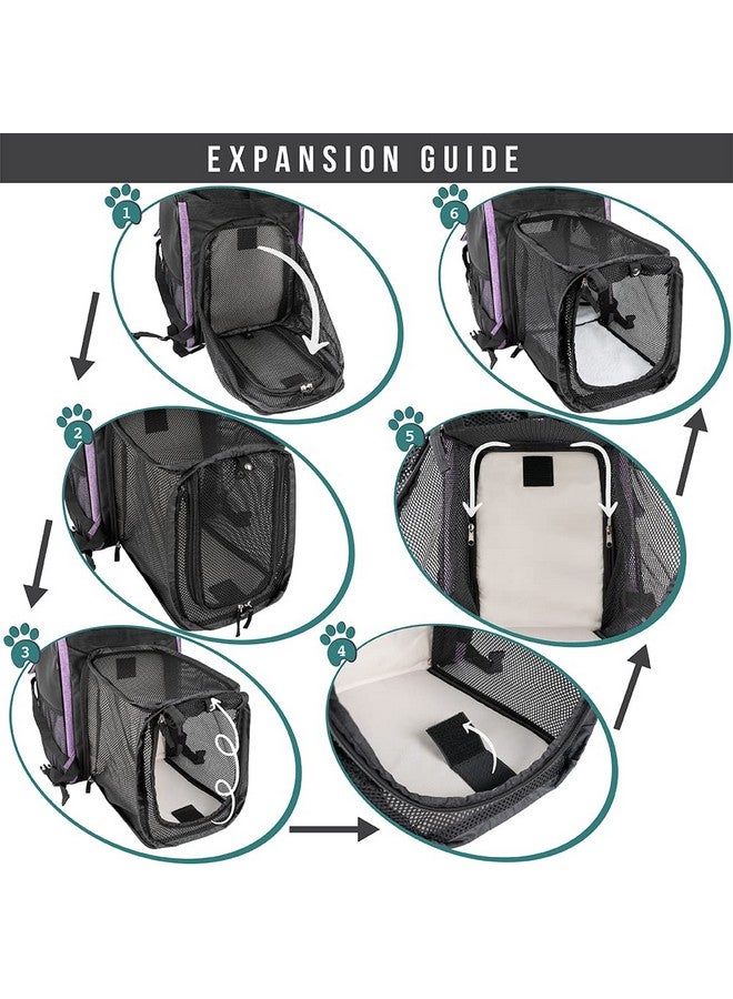 Dog Cat Backpack Carrier, Expandable Pet Carrier Backpack For Travel Hiking, Small Medium Dog Puppy Large Cat Carrying Backpack, Airline Approved Ventilated Soft Back Support, 18 Lbs, Purple