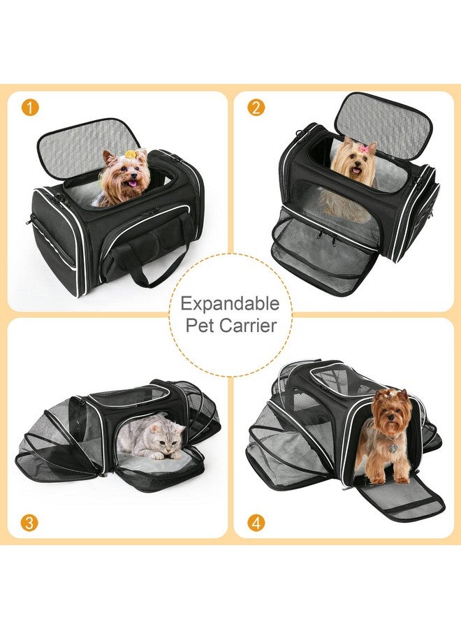 Soft Sided Pet Carrier Airline Approved, 4 Sides Expandable Collapsible Cat Carrier With Pockets & Removable Fleece Pad, Travel Carrier Bag For Cat Dog & Small Animals (Black)