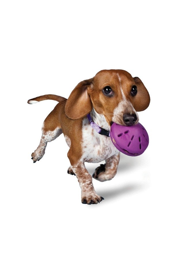 Busy Buddy Twist 'N Treat Dispensing Dog Toy  Small