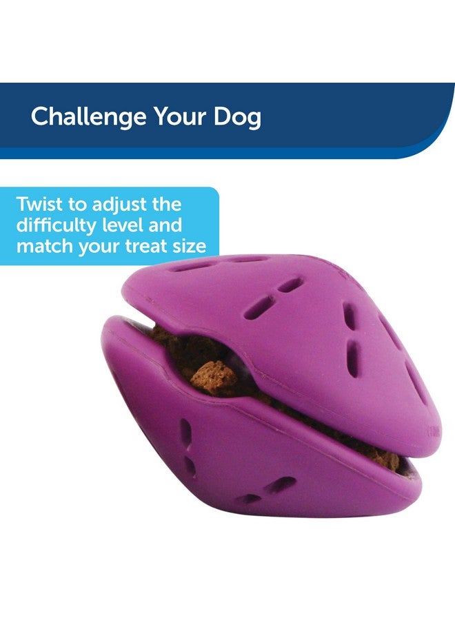 Busy Buddy Twist 'N Treat Dispensing Dog Toy  Small