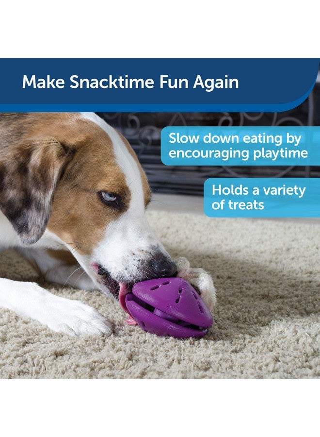 Busy Buddy Twist 'N Treat Dispensing Dog Toy  Small