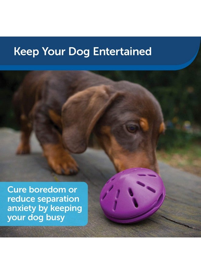 Busy Buddy Twist 'N Treat Dispensing Dog Toy  Small