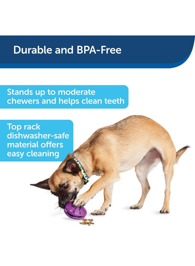 Busy Buddy Twist 'N Treat Dispensing Dog Toy  Small