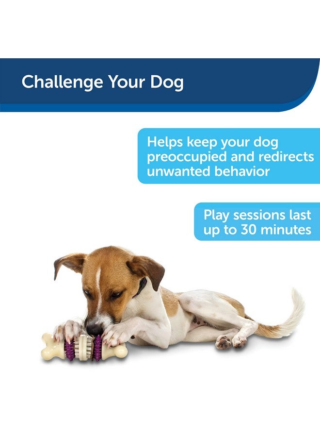 Busy Buddy Bristle Bone, Large, Helps Keep Your Dog'S Teeth Clean, LongLasting Playtime