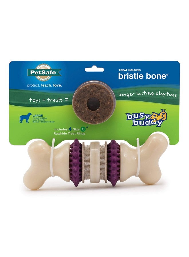 Busy Buddy Bristle Bone, Large, Helps Keep Your Dog'S Teeth Clean, LongLasting Playtime