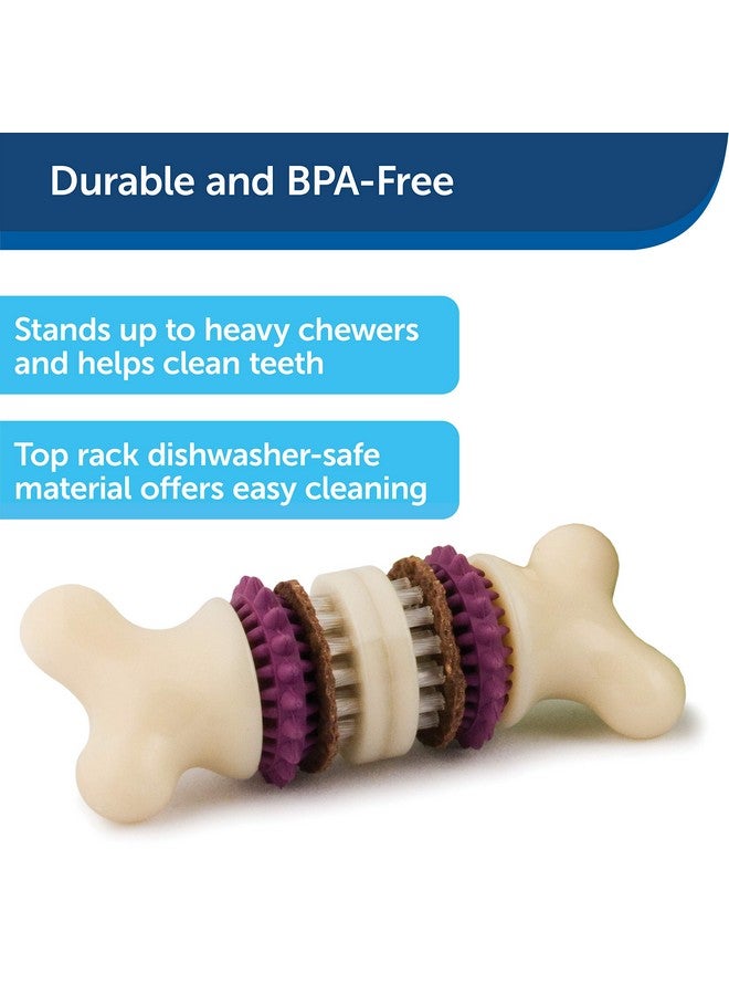 Busy Buddy Bristle Bone, Large, Helps Keep Your Dog'S Teeth Clean, LongLasting Playtime