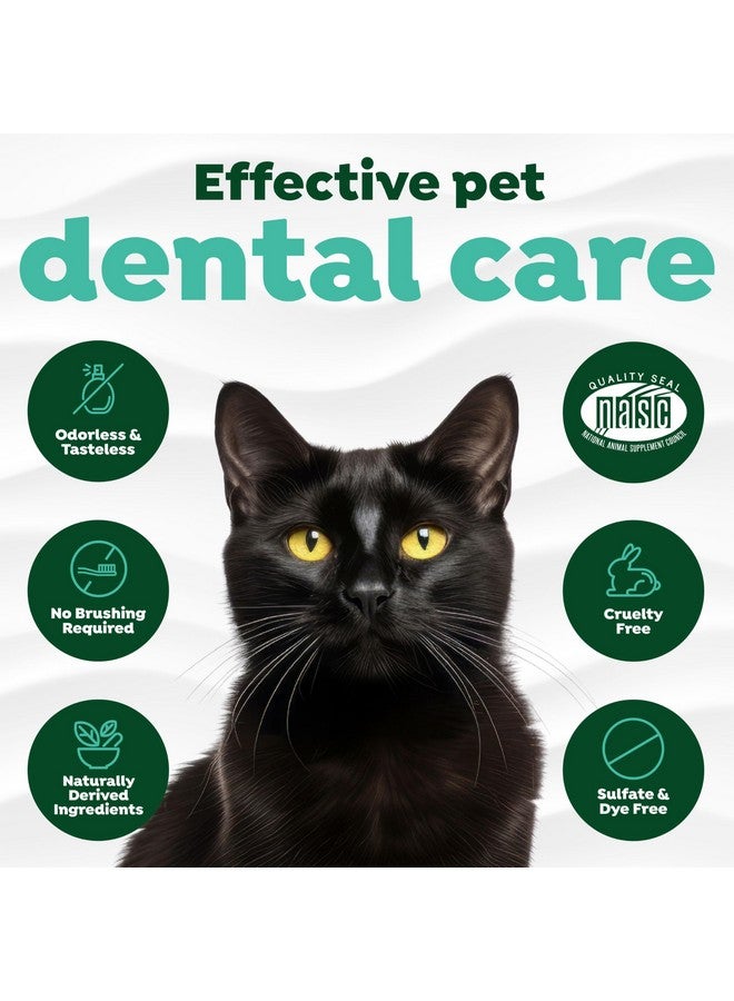 Fresh Breath For Cats | Cat Dental Care And Teeth Cleaning | Breath Freshener | Water Additive For Cats | Made In The Usa | 16 Oz.