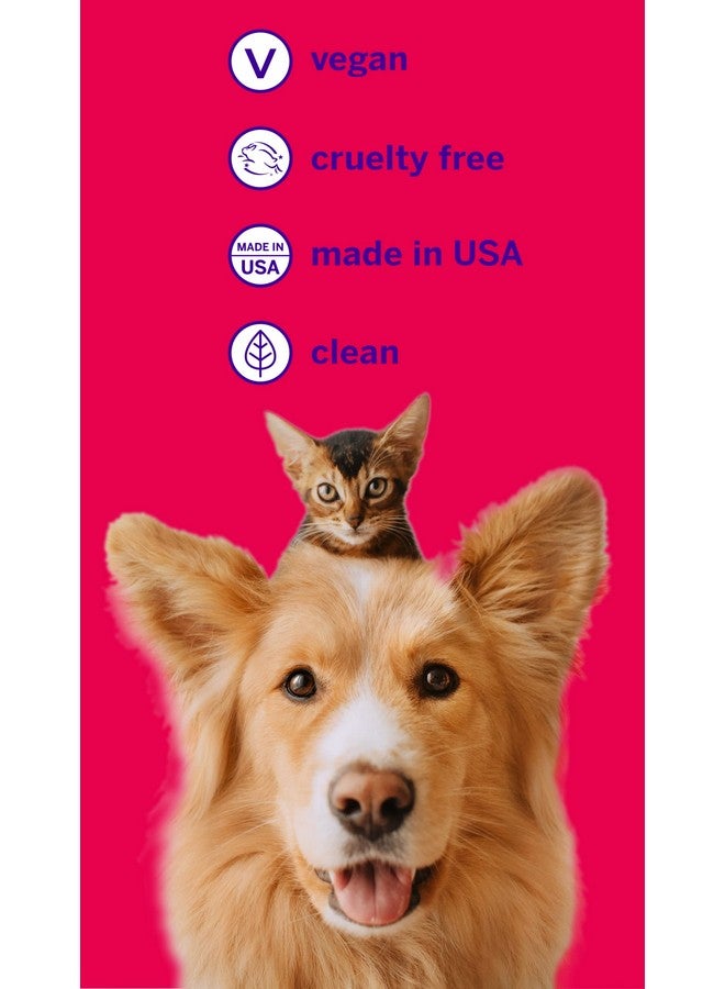 Professional Pet Tooth Brushing Kit  Cat & Dog Toothbrush & Toothpaste  Control Plaque, Tartar & Bad Breath  Vohc Accepted Toothpaste  Teeth Cleaning Supplies (Rotisserie Chicken, 2.5 Oz)