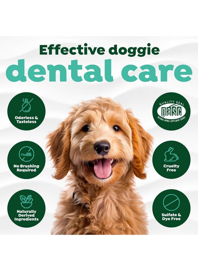 Fresh Breath For Puppy Breath | Breath Freshener | Puppy Dental Care Made Easy | Puppy Mouthwash | Made In The Usa | 16 Oz.