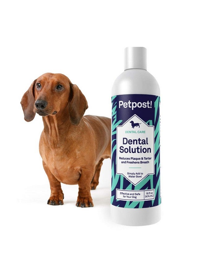 | Dental Solution For Dogs  Water Additive That Eliminates Bad Breath  Dirt, Gunk, And Tooth Buildup Gone  Natural Tooth Cleaning Solution 16 Oz.