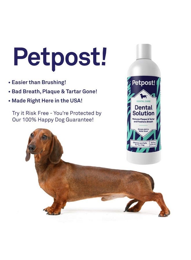 | Dental Solution For Dogs  Water Additive That Eliminates Bad Breath  Dirt, Gunk, And Tooth Buildup Gone  Natural Tooth Cleaning Solution 16 Oz.