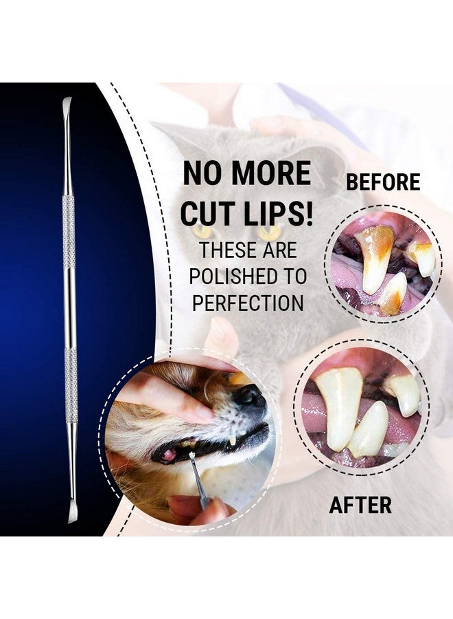 Pet Teeth Cleaning Tools  6.5 Inch Double Header Tarter & Plaque Remover Tool For Cats And Dogs. Stainless Steel That Will Not Rust. By Majestic Bombay