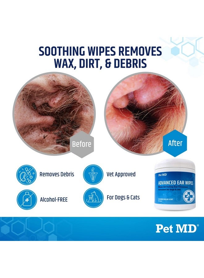 Cat And Dog Ear Cleaner Wipes  Advanced Otic Veterinary Ear Cleaner Formula  Dog Ear Infection Treatment  100 Count