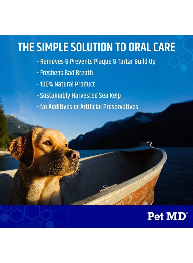 Proden Plaqueoff Dog Teeth Cleaning Dental Care Powder  Oral Care Supplement For Dogs  Reduce Bad Breath, Tartar, & Plaque  60G
