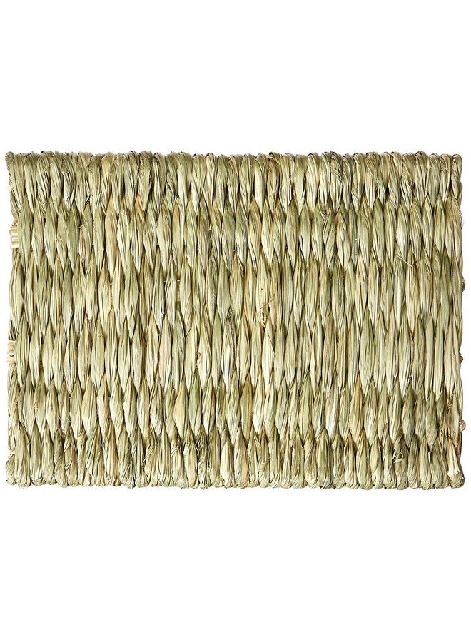 Timothy Club  Timothy Mat For Pets, Medium, 2Pack