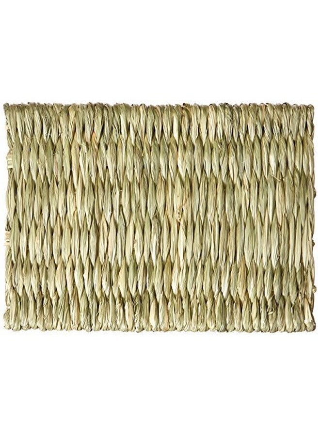 Timothy Club  Timothy Mat For Pets, Medium, 2Pack