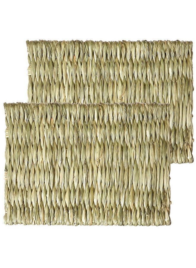 Timothy Club  Timothy Mat For Pets, Medium, 2Pack
