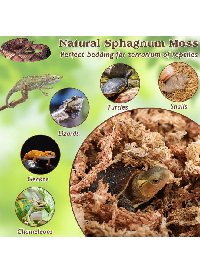 6Oz Sphagnum Moss For Reptiles, 8Qt Premium Dried Moss For Terrarium Long Fibered Leopard Gecko Moss Natural Sphagnum Peat Moss Bedding For Frogs Anoles Snake Turtle Plants