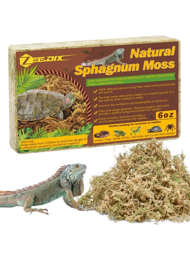 6Oz Sphagnum Moss For Reptiles, 8Qt Premium Dried Moss For Terrarium Long Fibered Leopard Gecko Moss Natural Sphagnum Peat Moss Bedding For Frogs Anoles Snake Turtle Plants