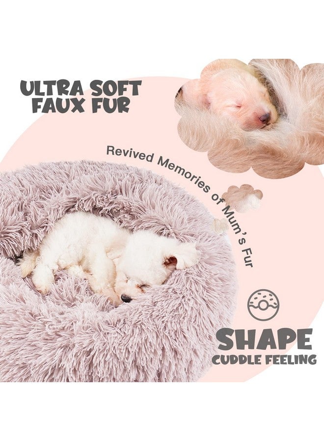 Dog Beds For Small Dogs, Donut Dog Bed With Blanket Attached, Calming Dog Bed Washable (20
