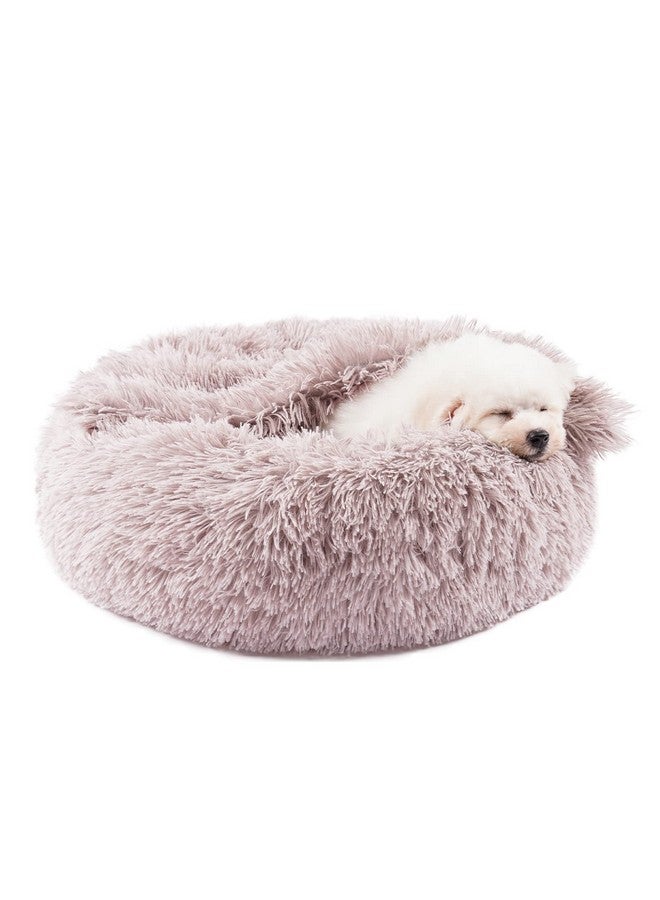 Dog Beds For Small Dogs, Donut Dog Bed With Blanket Attached, Calming Dog Bed Washable (20