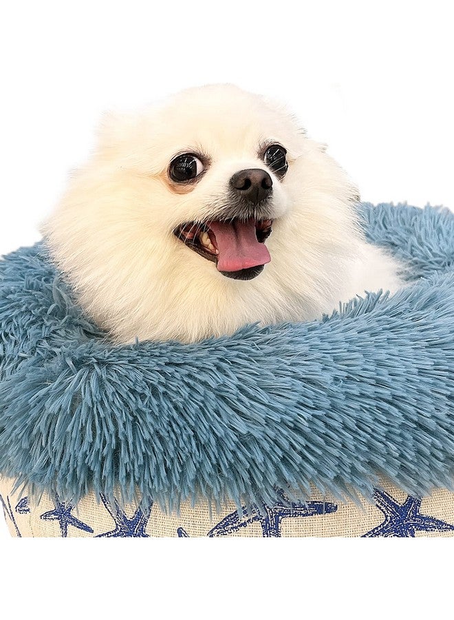 Puppy Beds For Small Dogs Washable 19 Inches Lake Blue Color Matching Starfish Calming And Anxiety Pet Beds Fluffy And Plush Durable Ocean Style Small Dog Bed
