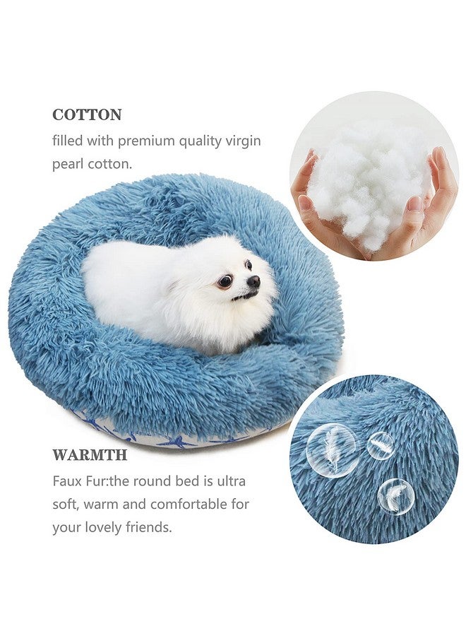 Puppy Beds For Small Dogs Washable 19 Inches Lake Blue Color Matching Starfish Calming And Anxiety Pet Beds Fluffy And Plush Durable Ocean Style Small Dog Bed