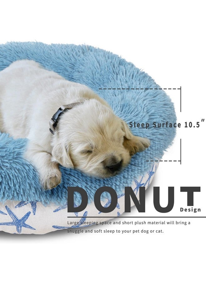 Puppy Beds For Small Dogs Washable 19 Inches Lake Blue Color Matching Starfish Calming And Anxiety Pet Beds Fluffy And Plush Durable Ocean Style Small Dog Bed