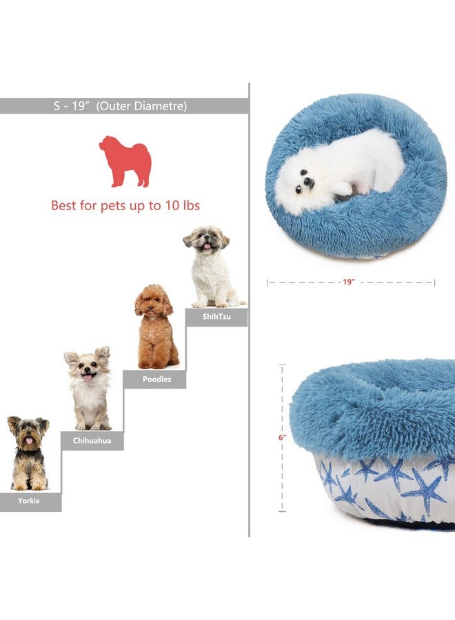 Puppy Beds For Small Dogs Washable 19 Inches Lake Blue Color Matching Starfish Calming And Anxiety Pet Beds Fluffy And Plush Durable Ocean Style Small Dog Bed