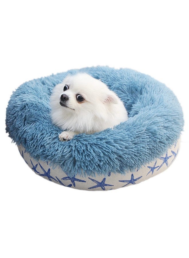 Puppy Beds For Small Dogs Washable 19 Inches Lake Blue Color Matching Starfish Calming And Anxiety Pet Beds Fluffy And Plush Durable Ocean Style Small Dog Bed