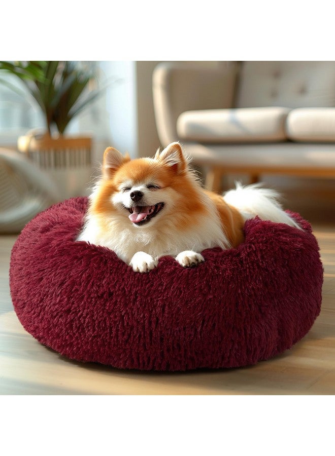 Calming Dog Bed For Medium Small Dog, Anti Anxiety Donut Medium Pet Bed, Round Fluffy Cuddler Washable Dog Bed, Indoor Dog Cat Bed With AntiSlip Bottom Fits Up To 25 Lbs Pet, 23