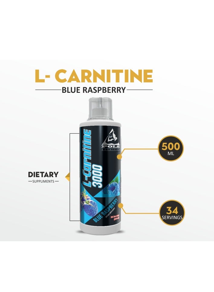 Pole Nutrition L-Carnitine 3000 Tasty Pineapple - 34 Servings