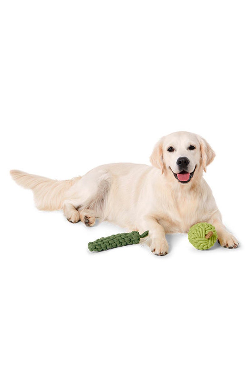 2 Pc Dog Toy Zucchini and Apple, Olive/ Light Green