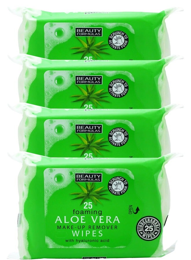 100 Foaming Aloe Vera Make-up Remover Wipes with Hyaluronic Acid