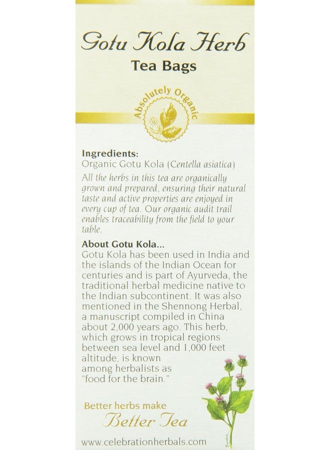 Celebration Herbals Gotu Kola Tea Organic 24 Bag, 0.02 Pound