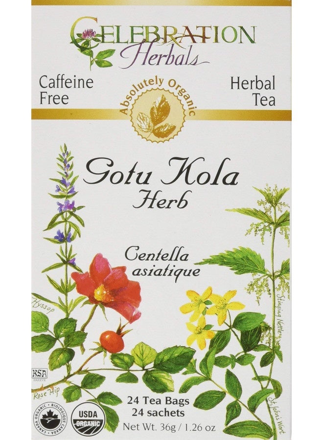 Celebration Herbals Gotu Kola Tea Organic 24 Bag, 0.02 Pound