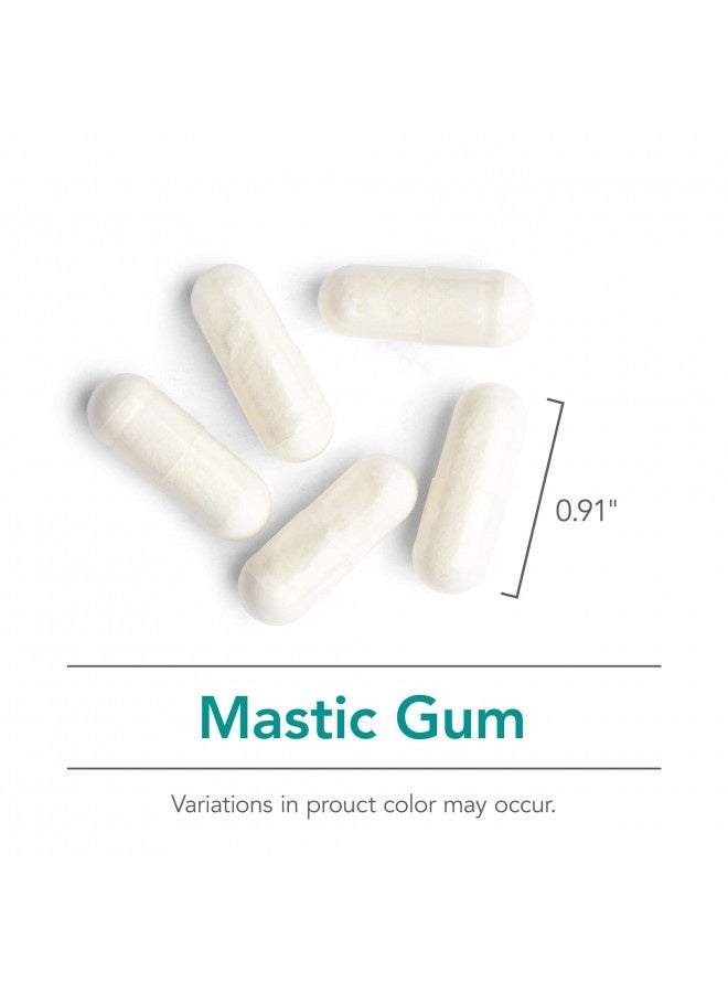 Nutricology Mastic Gum - Authentic Chios Mastiha - Gi Health, Metabolism - 120 Vegetarian Capsules