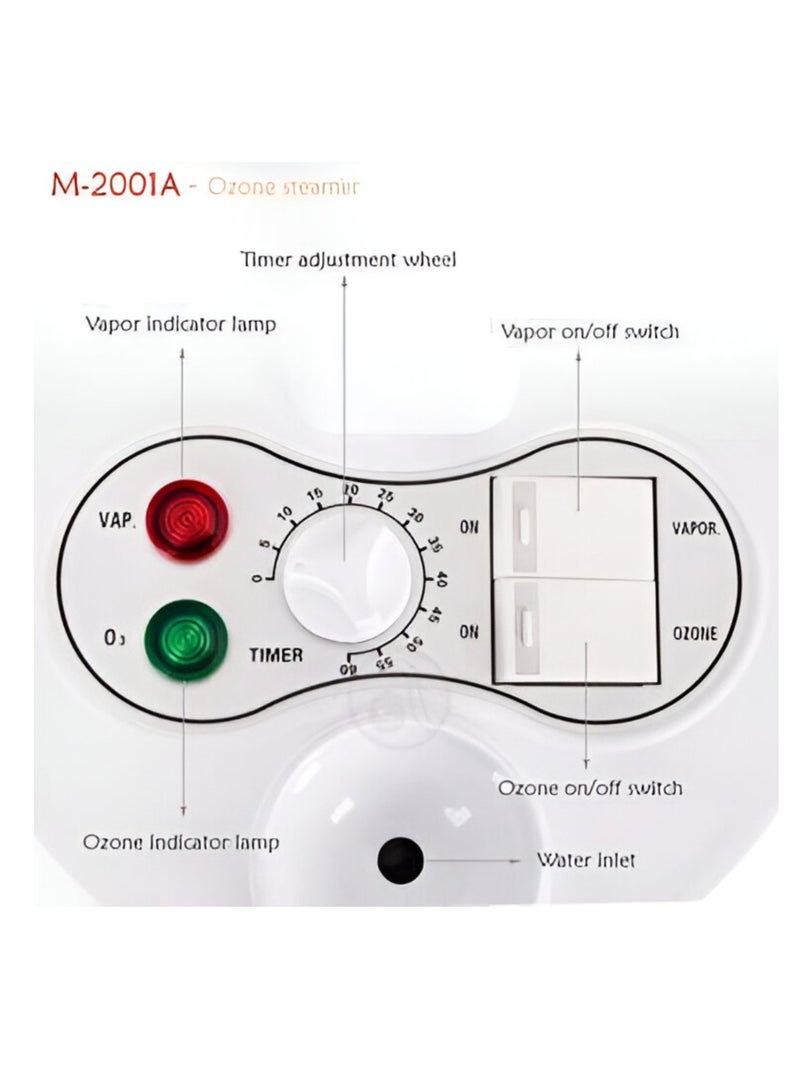 GlobalStar Dual Function Beauty Device – Face & Body Treatment with Ozone, Aroma Chamber, and Magnifier