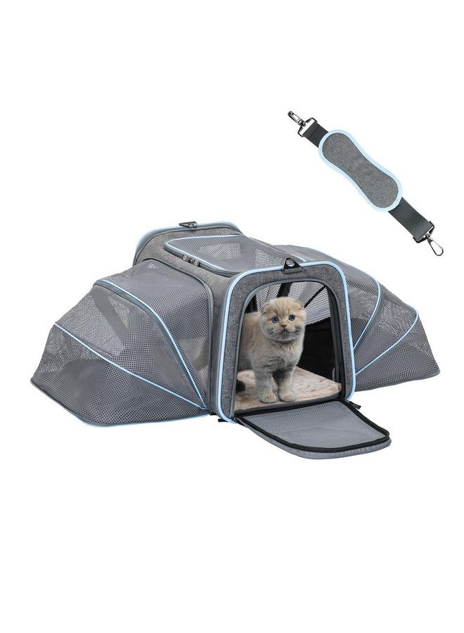 Expandable Cat Carriers Airline Approved, 16