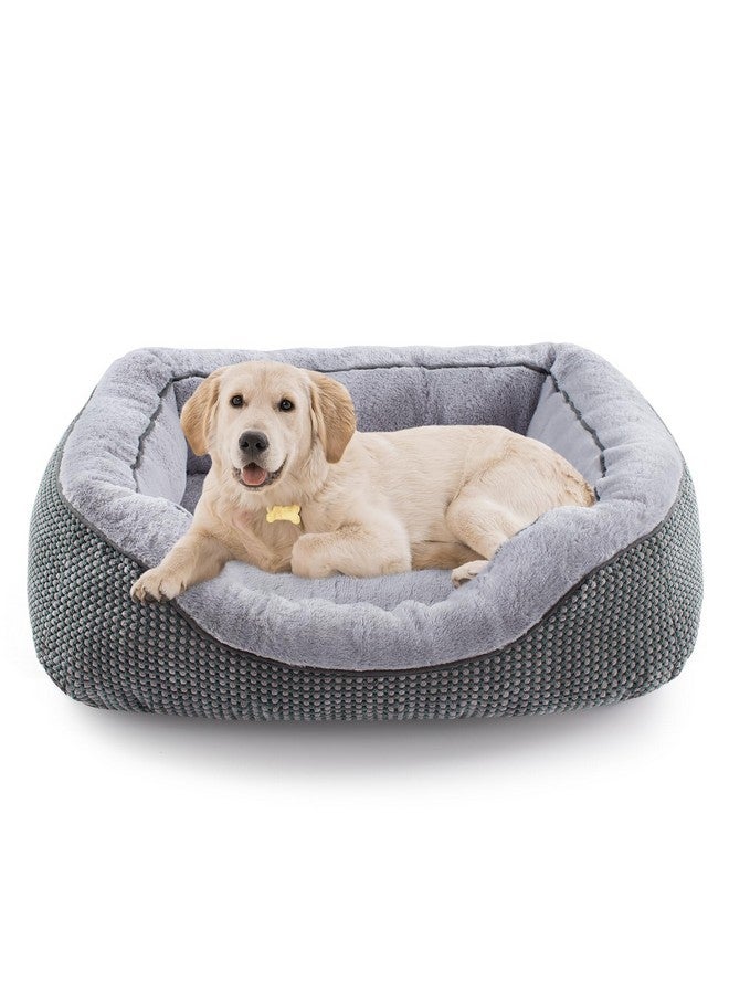 Medium Dog Beds For Medium Dogs Washable, Rectangle Dog Bed Medium Size Dog, Orthopedic Dog Bed, Warming Soft Calming Sleeping Puppy Bed Durable Pet Bed With AntiSlip Bottom M(30