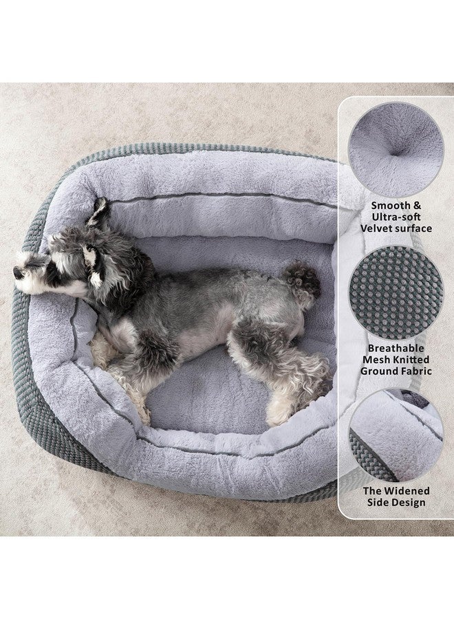 Medium Dog Beds For Medium Dogs Washable, Rectangle Dog Bed Medium Size Dog, Orthopedic Dog Bed, Warming Soft Calming Sleeping Puppy Bed Durable Pet Bed With AntiSlip Bottom M(30