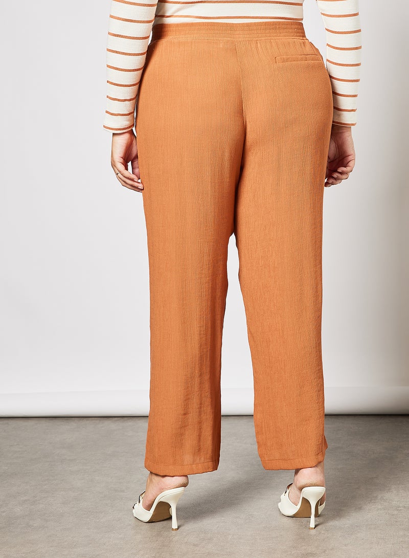 Plus Size Textured Straight Fit Pants Burnt Orange