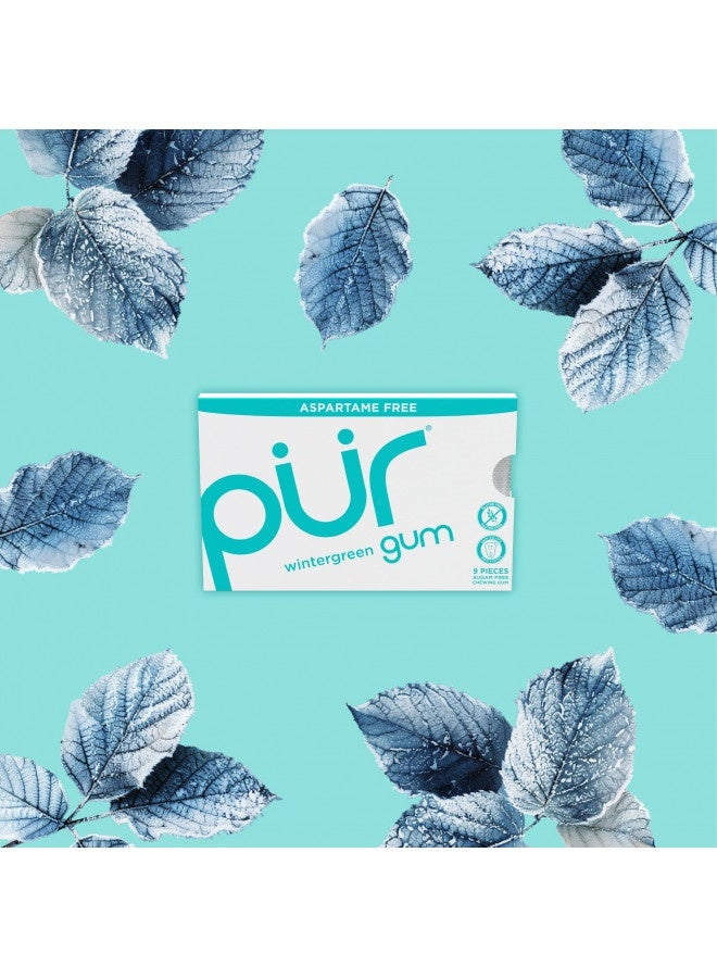 Pur Gum | Aspartame Free Chewing Gum | 100% Xylitol | Sugar Free, Vegan, Gluten Free And Keto Friendly | Natural Wintergreen Flavored Gum, 9 Pieces (Pack Of 12)